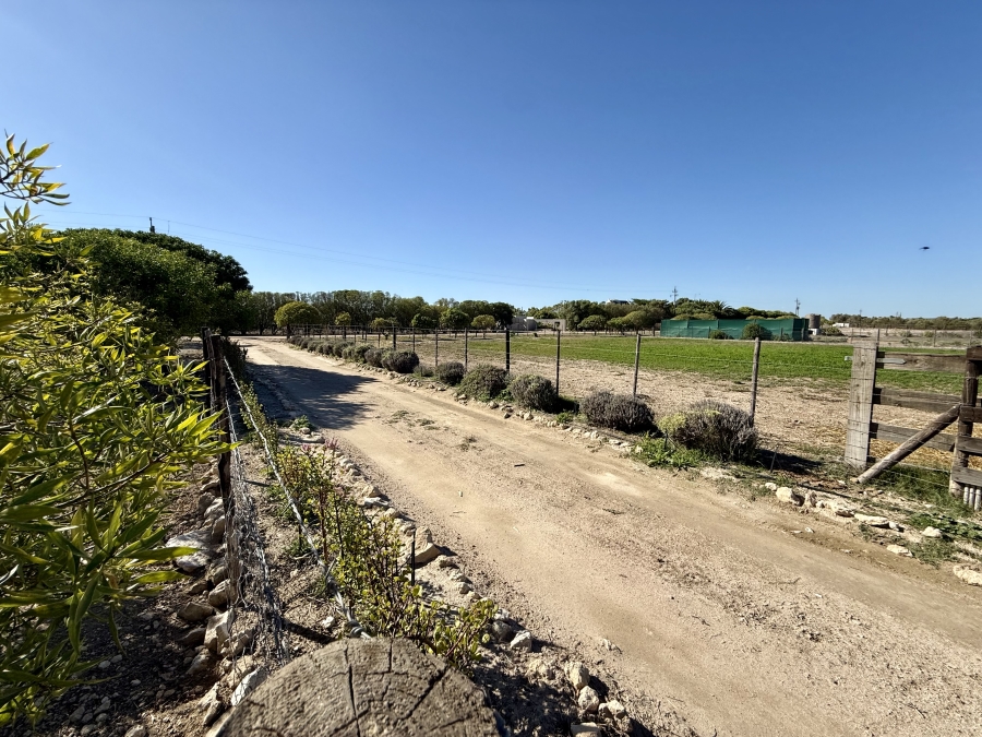 8 Bedroom Property for Sale in Long Acres Country Estate Western Cape